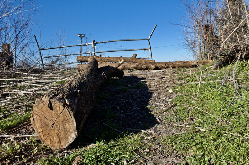 The only access point at Longhorn Speedway that isn’t overgrown with weeds—the former car entrance to the track.